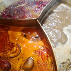 小龙坎火锅(全球旗舰店) User Photo