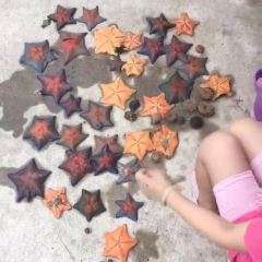石城岛农家乐姐姐的渔家小院 User Photo