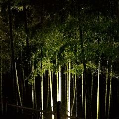 吃匠·半山張用戶圖片