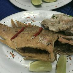 Los Nardos User Photo