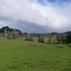 Waitomo Homestead ảnh của người dùng