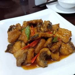 董府張用戶圖片