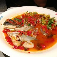 TAN ZONG DUO JIAO YU TOU User Photo