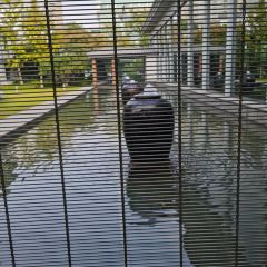 Suzhou Tonilo Lambokini Shuyuan Hotel Sumianfang User Photo