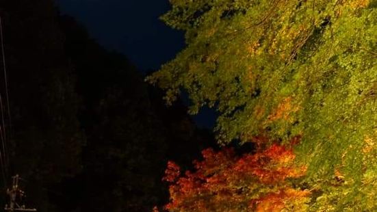 来下吕的温泉寺建议晚上过来看夜枫。非常有意境。这里的寺庙建筑