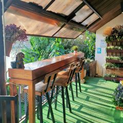 Wawee Coffee(Klang Wiang) User Photo