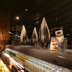 Addiction Aquatic Development User Photo