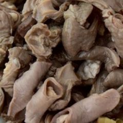 思鄉緣驢肉館張用戶圖片