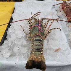 Yi Jia Seafood Sdn. Bhd. ảnh của người dùng