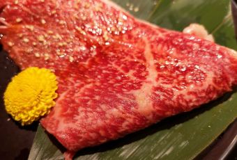 Kyoto Kaiseki Yakiniku (BBQ) HIRO Kyoto Station User Photo