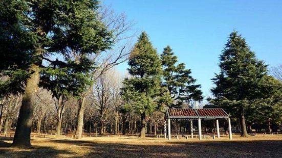 代代木公园位于知名的明治神宫旁，提供东京都居民宽广的草坪与各