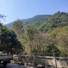 屏山客家饭店 User Photo