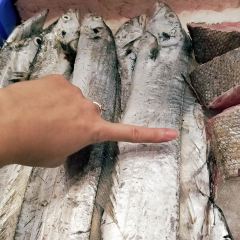 Gaojiazhuang (donggang) User Photo
