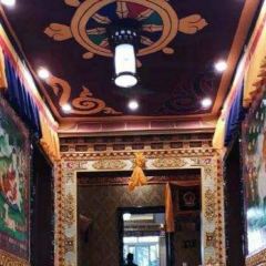 SHENG DE ZHUO LONG CANG GU YAN User Photo