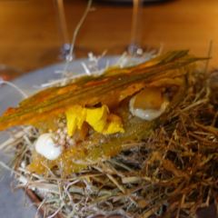 noma User Photo