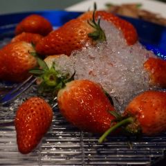 Gastro Esthetics at DaDong User Photo