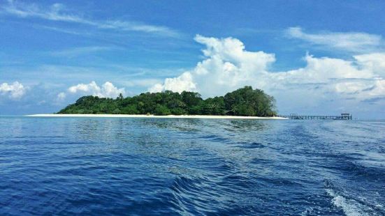 马来西亚的西巴丹岛是世界上最著名的潜水圣地之一，这座岛的海面