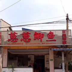 葱葱鲫鱼 User Photo