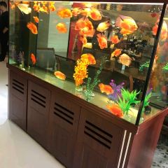 金茂国际大酒店餐厅 User Photo