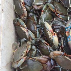 Yi Jia Seafood Sdn. Bhd. ảnh của người dùng