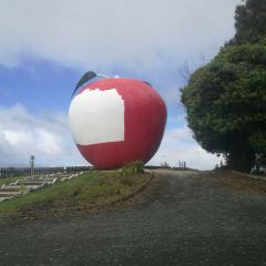 Waitomo Homestead ảnh của người dùng