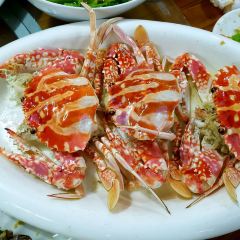 BO AO YA ZHOU LUN TAN DA JIU DIAN YI JING XI CAN TING User Photo