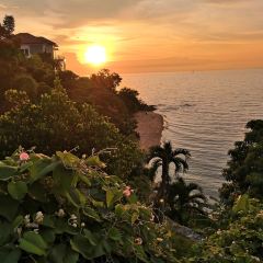 Rimpa Lapin User Photo