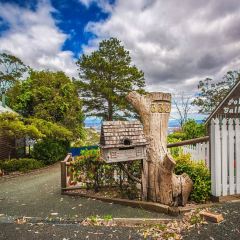 The Polish Club Milton User Photo