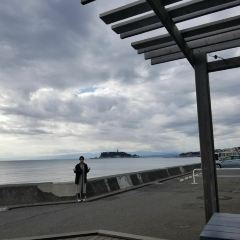 Pacific DRIVE-IN 여행 사진
