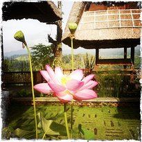 Bali Asli User Photo