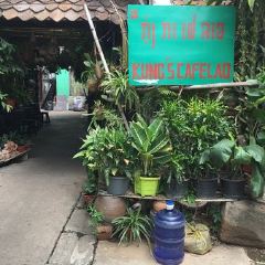 Kung's Cafe Lao User Photo
