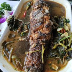 Yunzhongxiaoya User Photo