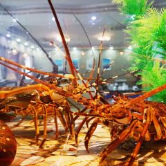 巽寮印象美食部落張用戶圖片