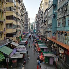 十八座狗仔粉張用戶圖片