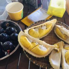Durian Durian User Photo