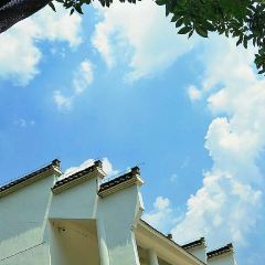 云里居 User Photo