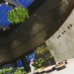 Thirteen Dynasties Restaurant User Photo