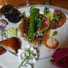 noma User Photo