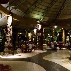 黑森林餐廳張用戶圖片