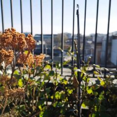 Xilaideng (fuyuan) User Photo