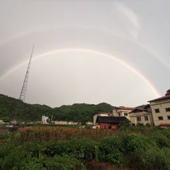蛐蟮辣子鸡 User Photo