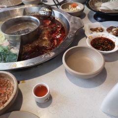 重庆石锅鱼 User Photo