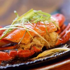 ANDOK'S 여행 사진