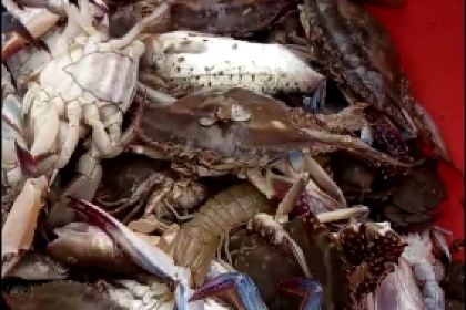 唐山韩姐农家院3号店