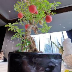 Silver pot ảnh của người dùng