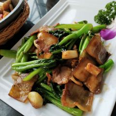 Yunzhongxiaoya User Photo