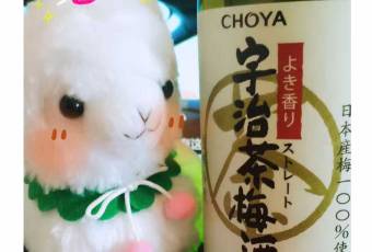 Matcha Sweets Shop SAWAWA Otaru用戶圖片