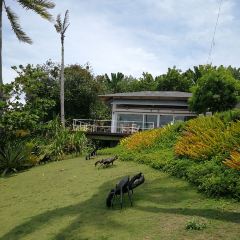 Paprika Restaurant 여행 사진