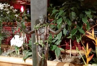 Duke's Waikiki User Photo