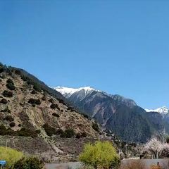 SHENG DE ZHUO LONG CANG GU YAN User Photo